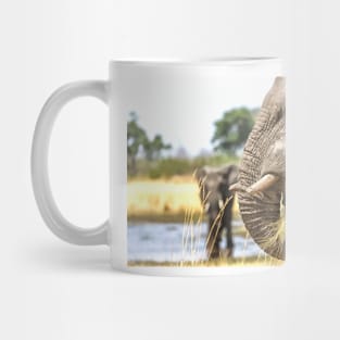 Elephant Eating Grass Mug